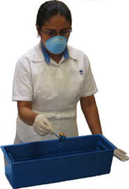 Esterilizacion