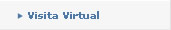 visita virtual